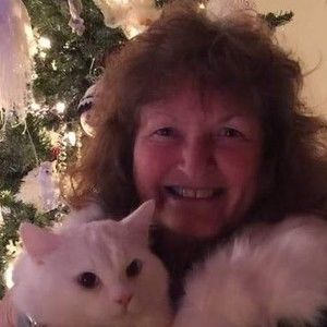 Meet your Posher, Joyce